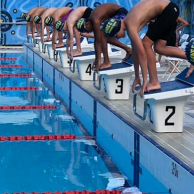Lane Cove swimmers on the blocks