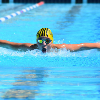 Taree Torpedoes competitor Taree Torpedoes competitor
