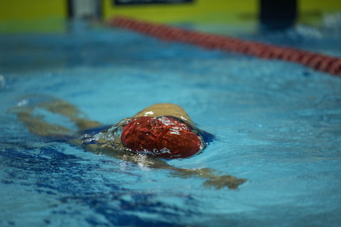 Age Swimmer Generic Age Swimmer Generic