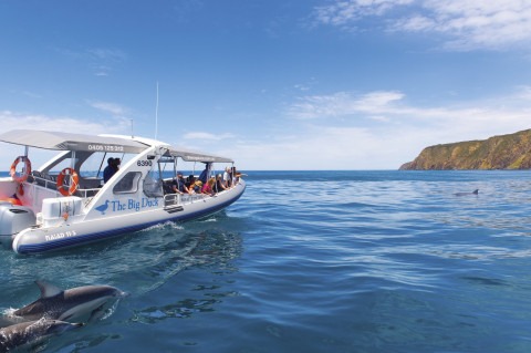 South Australia - Explore the Big Duck Boat Tour