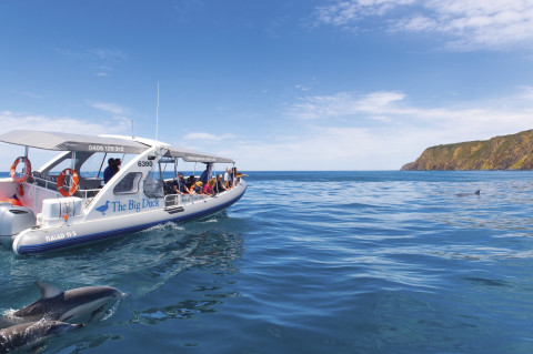 South Australia - Explore the Big Duck Boat Tour South Australia - Explore the Big Duck Boat Tour