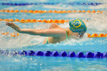 Anneke van Zoggel SOPAC butterfly Anneke van Zoggel SOPAC butterfly