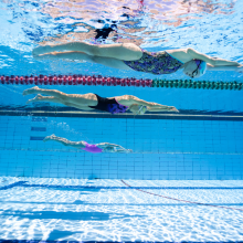 Swimmer Swimmer